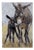 20th Century, Portrait of a Donkey in Maternity, 1980s, Oil Painting on Panel For Sale