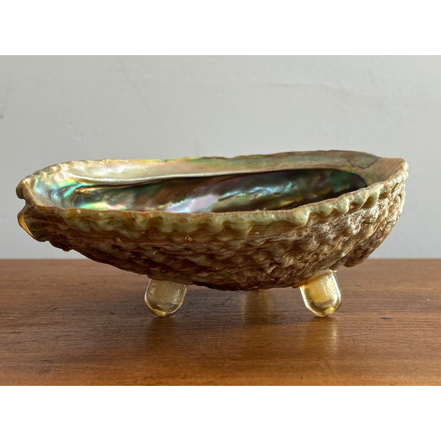 Natural, iridescent abalone shell that was made into a trinket dish. Three acrylic feet level the shell, making it a...