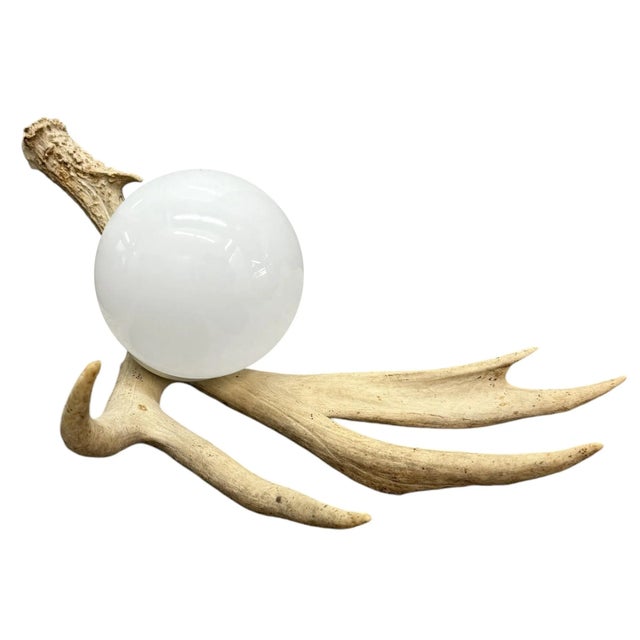 Deer Antler Lamp For Sale - Image 4 of 12