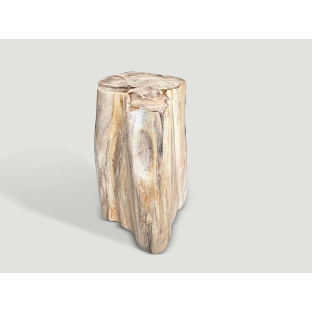 Andrianna Shamaris Impressive High Quality Ancient Petrified Wood Side Table For Sale - Image 4 of 7