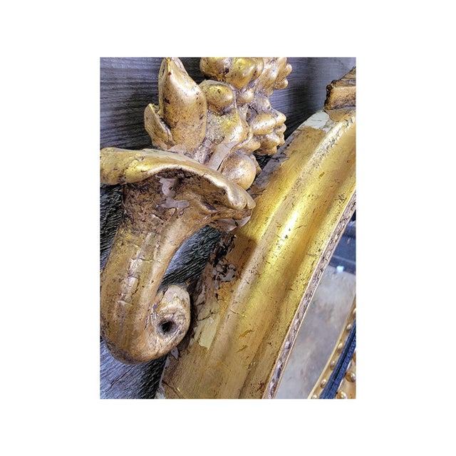 A Carved and Gilded English Regency Convex Mirror For Sale - Image 11 of 13