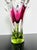 1960s Model 316/1/25 Pink and Green Art Glass Vase by Josef Hospodka for Chřibská, Czechoslovakia, 1960s For Sale - Image 5 of 11