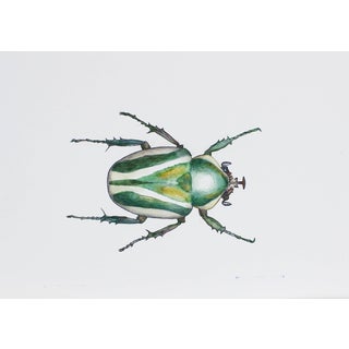 Juris Utans, Bright Beetle Mother, 2021, Mixed Media and Paper For Sale
