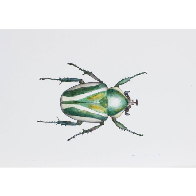 Juris Utans, Bright Beetle Mother, 2021, Mixed Media and Paper For Sale