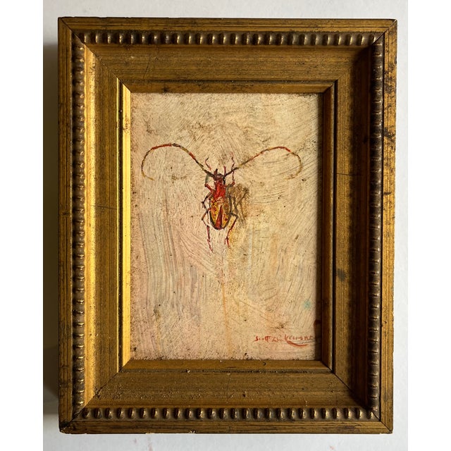 1980s Scott Zuckerman (American B. 1951) Oil Painting on Board Insect Specimen Study of a Beetle For Sale - Image 5 of 8