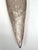Early 21st Century Michael Aram Nickel-Plated Bamboo Leaf Tray For Sale - Image 5 of 12