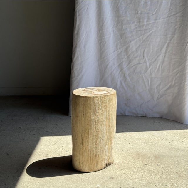Stone Oval White Petrified Wood Side Table, 1980s For Sale - Image 7 of 18