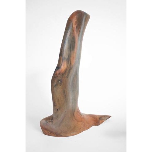 S1346 Decorative Objects in Tropical Driftwood by Jörg Pietschmann, Set of 2 For Sale - Image 9 of 11