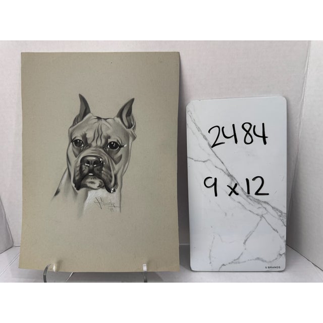 Original Signed Graphite Illustration of Boxer Dog Portrait, 12 × 9 In. For Sale - Image 4 of 4