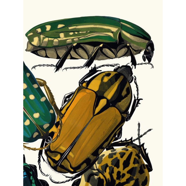 Art Deco Insects Plate 04 by Emile-Allain Séguy, Vintage Art Print Reproduction, 18" × 24" For Sale - Image 3 of 6