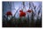 Paul Cooklin, Poppys II, Edition of 50 For Sale