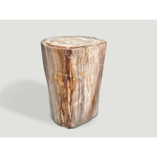 "Impressive rare coral tone high quality petrified wood side table. It’s fascinating how Mother Nature produces these...