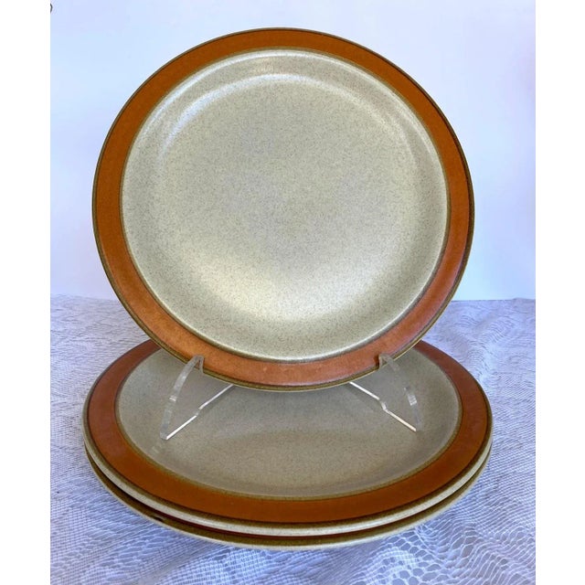 The SEARS Sahara Orange Dinner Plate set boasts a striking orange color band. Perfect for adding a vibrant touch to your...