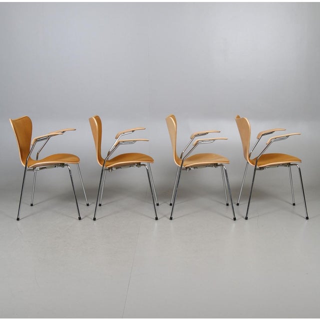 1980s Series 7 Sjuan Chairs by Arne Jacobsen for Fritz Hansen, 1980s, Set of 4 For Sale - Image 5 of 6
