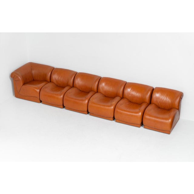 Animal Skin Modular Sofa by Doimo Salotti, Set of 6 For Sale - Image 7 of 18