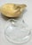 1950s Hollywood Regency 14 Kt. Gold Plated Florentine Footed Metal Salt Cellars- Set of 4 For Sale - Image 4 of 6