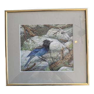 1990s Jane Maday Original Signed Watercolor Steller's Jay Poudre Canyon Framed For Sale