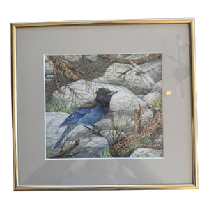 1990s Jane Maday Original Signed Watercolor Steller's Jay Poudre Canyon Framed