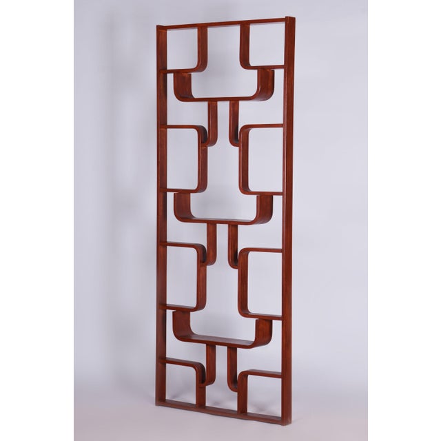Midcentury Modern Divider by Ludvik Volak, 1960s For Sale - Image 9 of 10