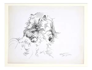 Marie Paulette Lagosse, The Cat, Pen on Paper, 1970s
