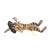 Early 20th Century Makishi Masked Doll with Hat For Sale In Denver - Image 6 of 7