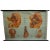 Textile Vintage Male Pelvic Organs Medical Poster Pull Down Wall Chart For Sale - Image 7 of 7