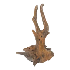 Large 25" Tall Artist Signed Driftwood Root Burl Wood Natural Sculpture