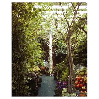 Paula Anta, Only 01 Series Artificial Paradise, Photography, 2008 For Sale