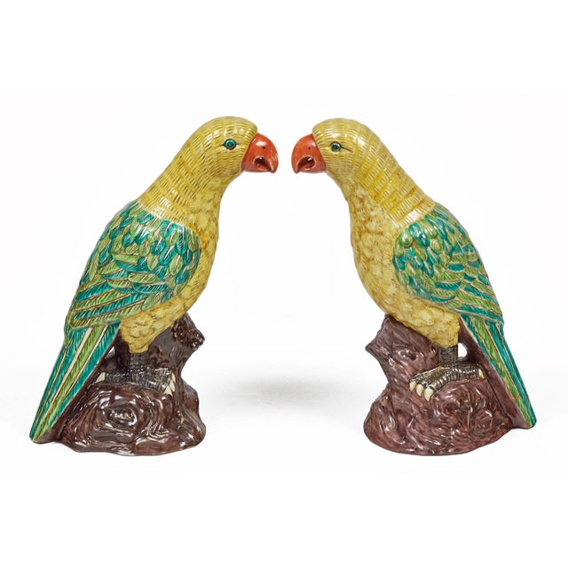Chinese Pair Large Chinese Yellow Green Parrots For Sale - Image 3 of 7