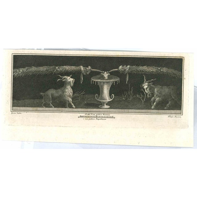 Nicolò Vanni, Ancient Roman Frescoes, Original Etching, 18th Century For Sale