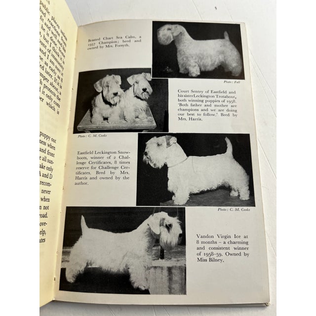 1922 Cairn and Sealyham Terriers Books Set/2 For Sale - Image 10 of 11