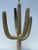 1970s Brass Saguaro Cactus Sculpture/Floor Lamp For Sale - Image 9 of 13