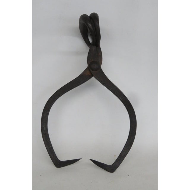 Early 1900s Cast Iron Ice Tongs Extra Large Rustic Handheld Icebox Tool 5125b For Sale In Miami - Image 6 of 9