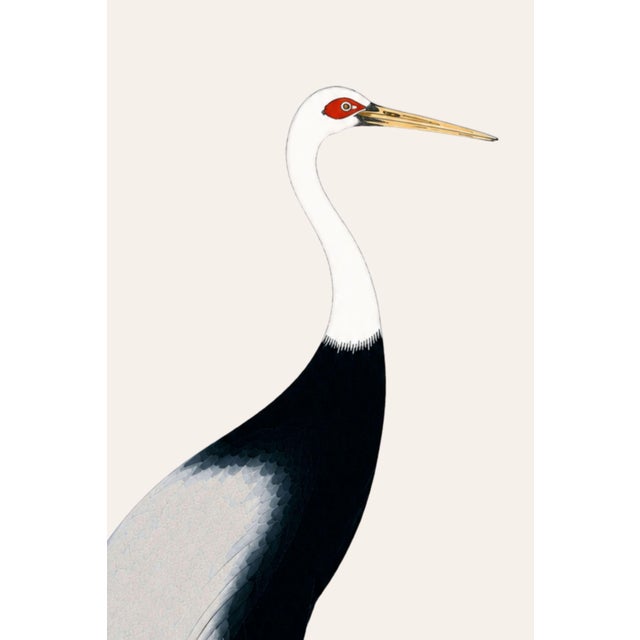 A refined crane study inspired by historical Japanese crane imagery. Set against a warm parchment ivory background...