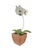 Mid 20th Century Vintage Hand Painted Potted Tole Orchid Floral Arrangement / Flower Sculpture / Object For Sale - Image 5 of 9