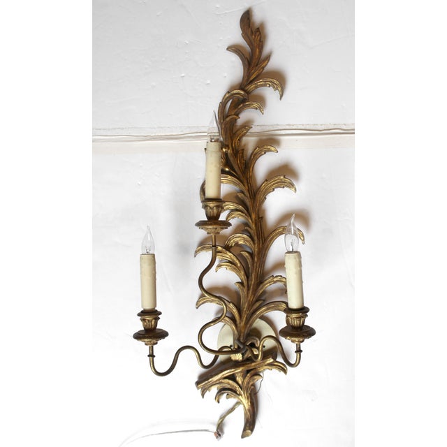 Italian Mid-20th Century Pair of Likely-Italian Gilt Wood Wall Sconces For Sale - Image 3 of 8