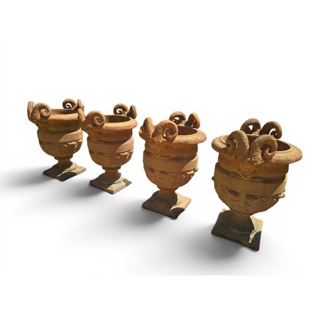 Impruneta Terracotta Urns with Faun Heads and Acanthus Leaves, Italy, 1950, Set of 4 For Sale - Image 3 of 9