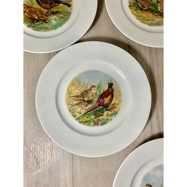 English 10" Vintage Wildlife Pheasant Porcelain Salad Plates by Heinrich Germany - Set of 6 For Sale - Image 3 of 7