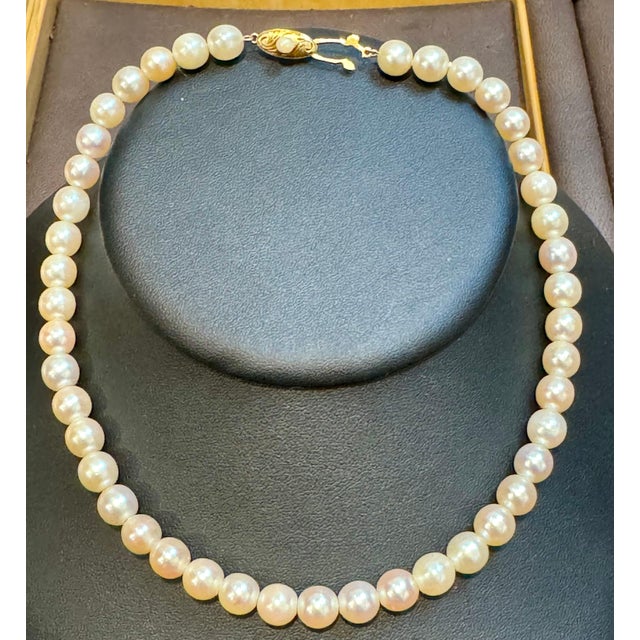 Vintage Cultured Akoya Pearl Necklace Length 14" , 18 Karat Yellow Gold Clasp For Sale - Image 12 of 18
