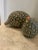 These serene ceramic quail are fabricated from clay at a small artisan studio and hand-glazed/decorated in the town of...
