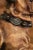 Mid 20th Century Mid-Century French Terracotta Pug Dog Sculpture With Glass Eyes For Sale - Image 5 of 12