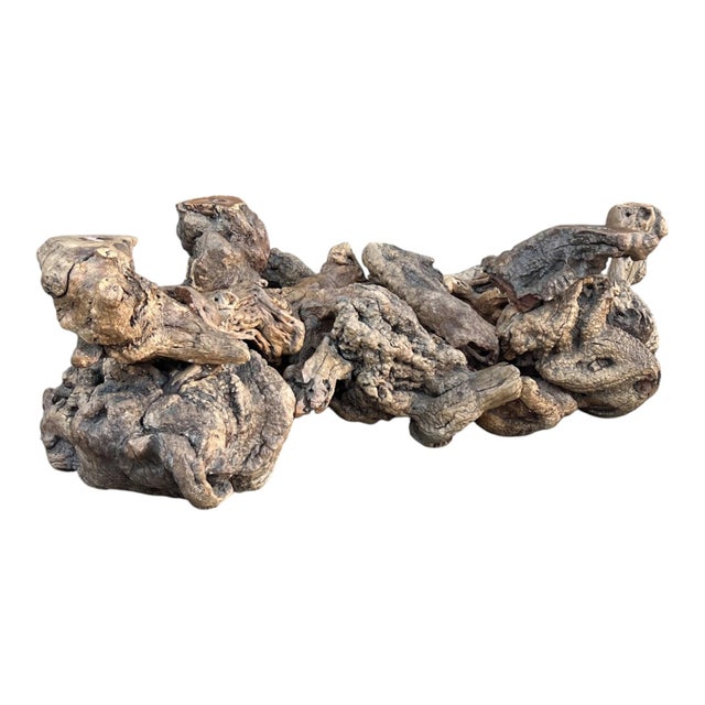 Vintage Sculptural Burl Wood Root Coffee Table With Glass Top – Organic Modern For Sale - Image 12 of 13
