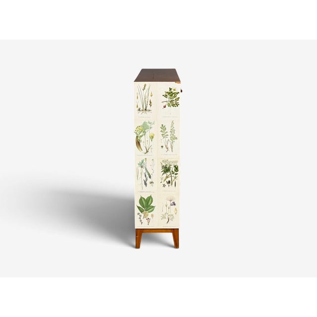 Swedish Modern, Nordens Flora Bookcase, Birch, Floral Lithographs, Sweden, 1940s For Sale - Image 14 of 15