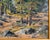 Mid-Century Impressionist Oil Painting of Forest Scene Landscape, Signed Illegibly For Sale - Image 9 of 15