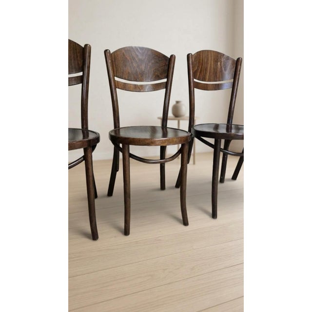 Modern Vintage Ton Wooden Dining Chairs, 1940s, Set of 4 For Sale - Image 3 of 16
