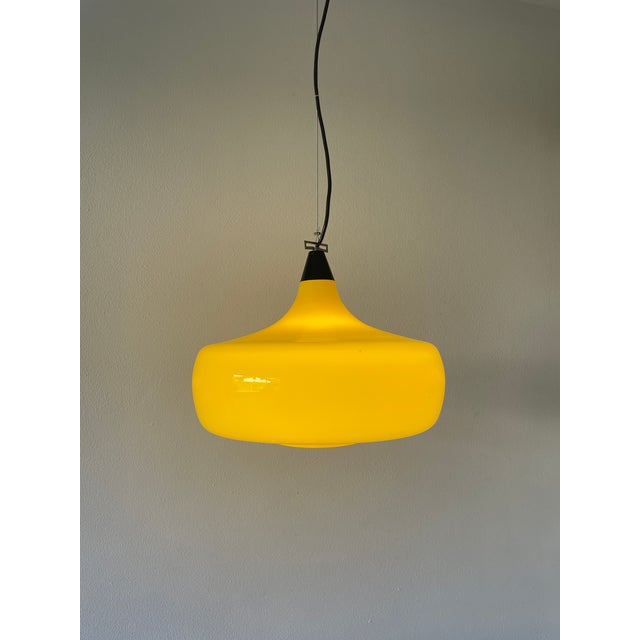 Mid-Century L114 Murano Ceiling Lamp by Oreste Vistosi and Peter Peltzel for Vetreria Vistosi, 1960s For Sale - Image 12 of 18