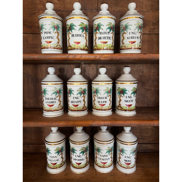 White Set of 12 Late 19th Century Continental Porcelain Apothecary Jars For Sale - Image 8 of 8