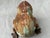 1980s Vintage Cast Iron Frog Doorstop Garden Ornament For Sale - Image 5 of 12