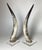 Natural Steer Horns on Lucite Bases - A Pair For Sale - Image 4 of 8