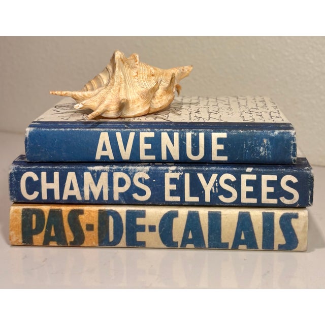 Early 21st Century E. Lawrence, Ltd. Blue French Travel Decorative Books, Set of 3 For Sale - Image 5 of 8